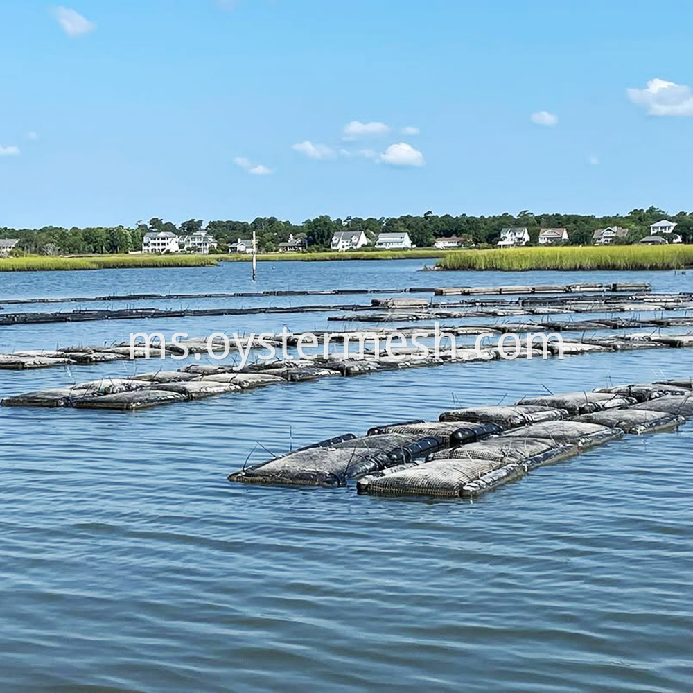 Floating Oyster Cage